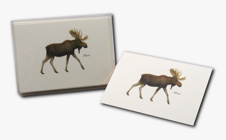Transparent Moose Png - Elk, Png Download