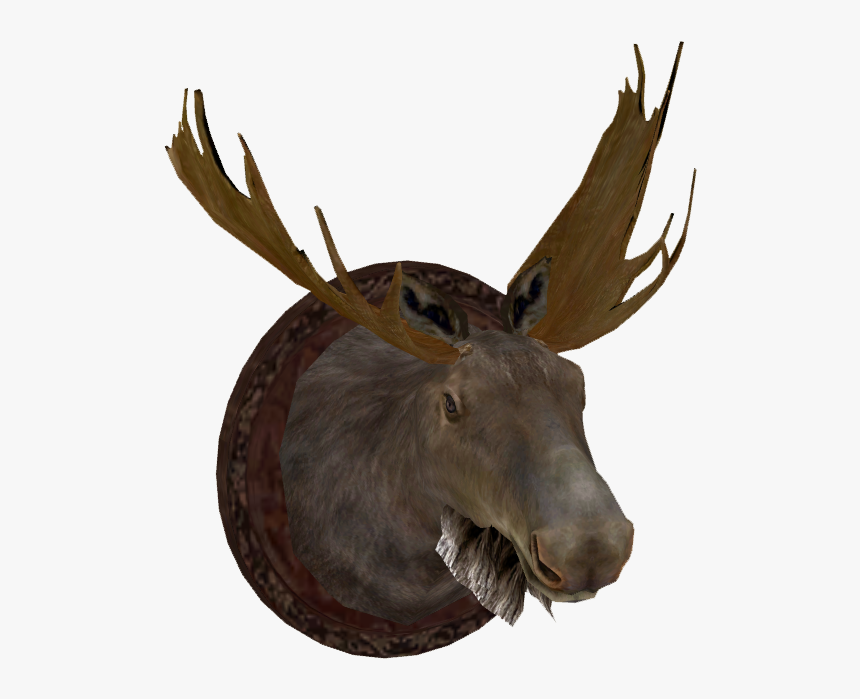 Transparent Free Moose Clipart - Transparent Moose Head Png, Png Download