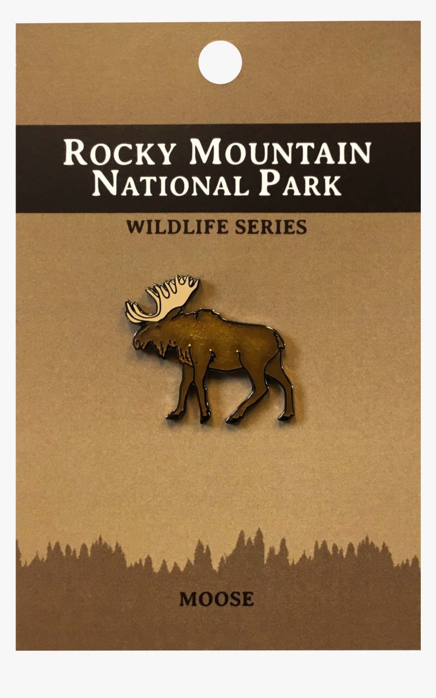 Moose Png, Transparent Png