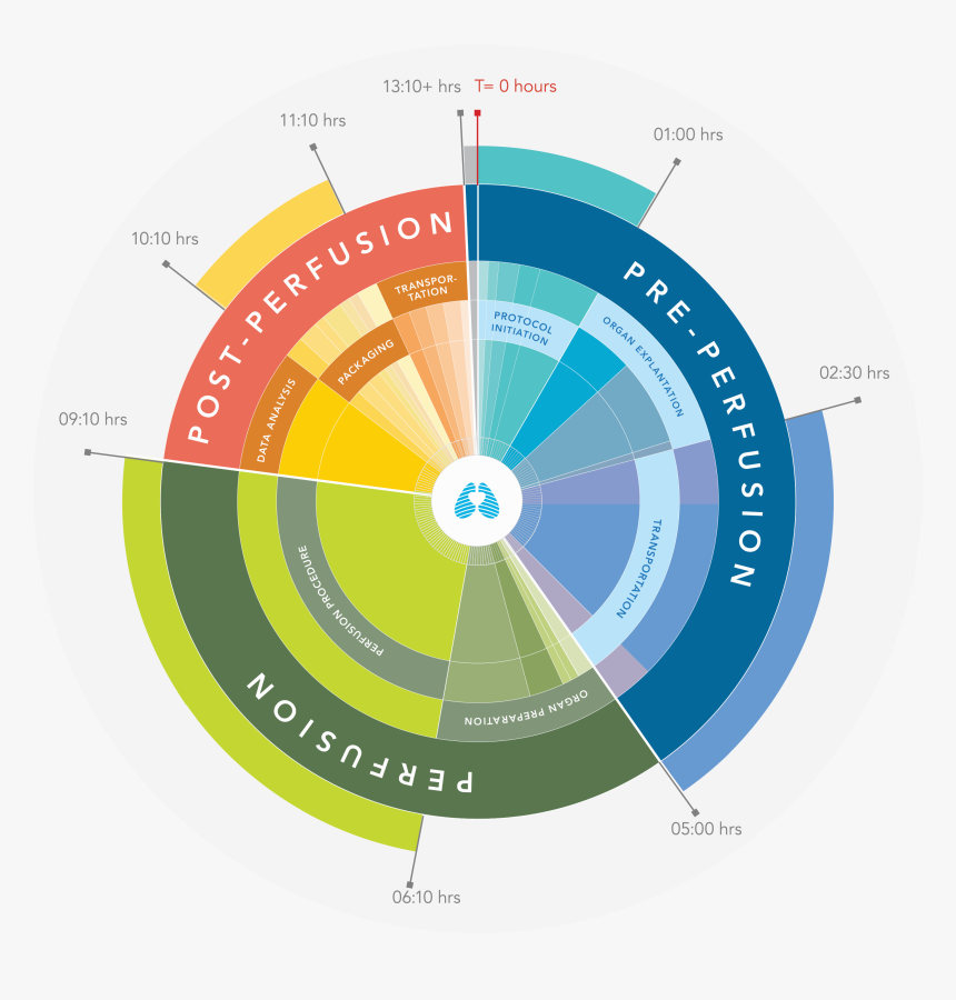 Circle, HD Png Download