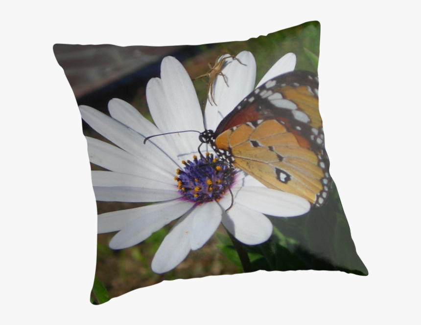 Butterfly And Daisies, Png V - Cushion, Transparent Png