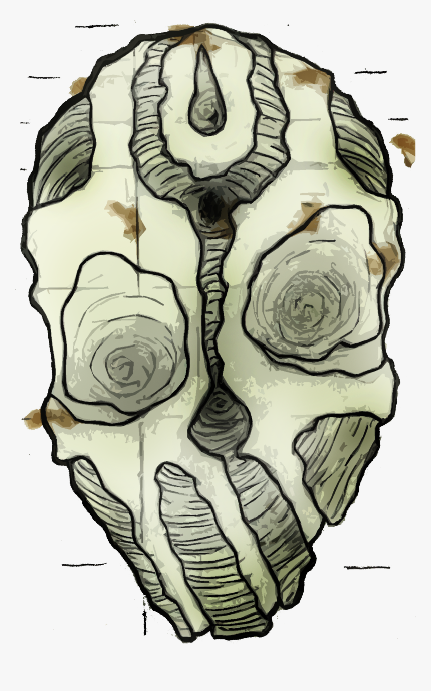 Banjo Kazooie Png, Transparent Png