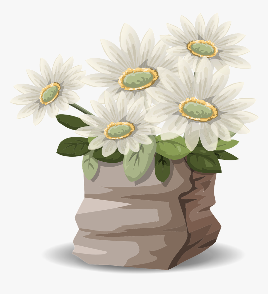 Png ดอกไม้ สี ขาว, Transparent Png