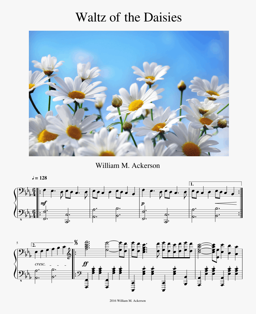 Hd Daisies Backgrounds, HD Png Download