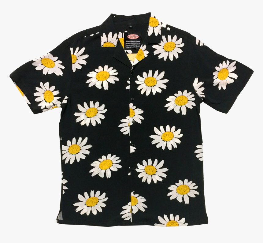 Sunflower, HD Png Download