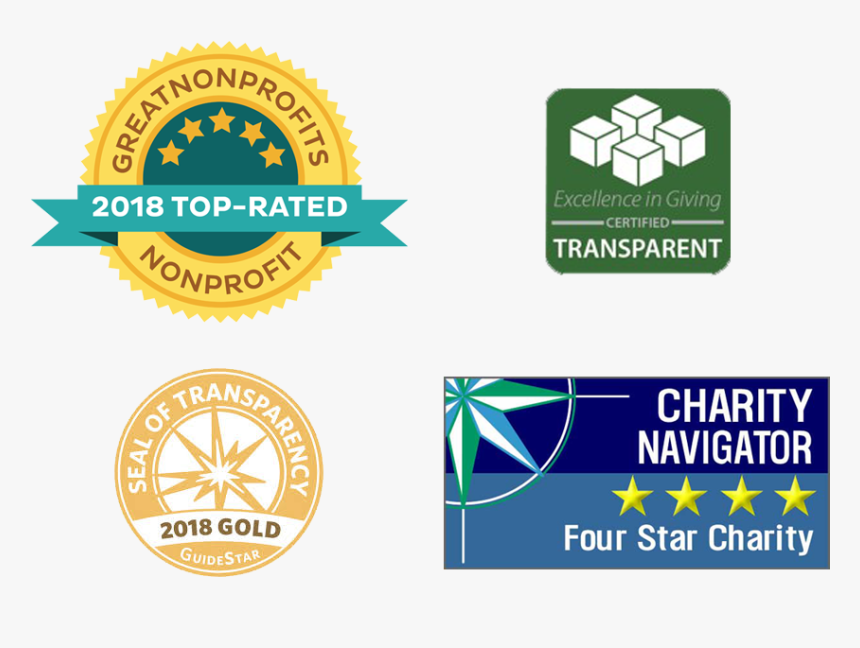 Icons Bottom Of Home Page - Great Nonprofits 2019 Logo, HD Png Download