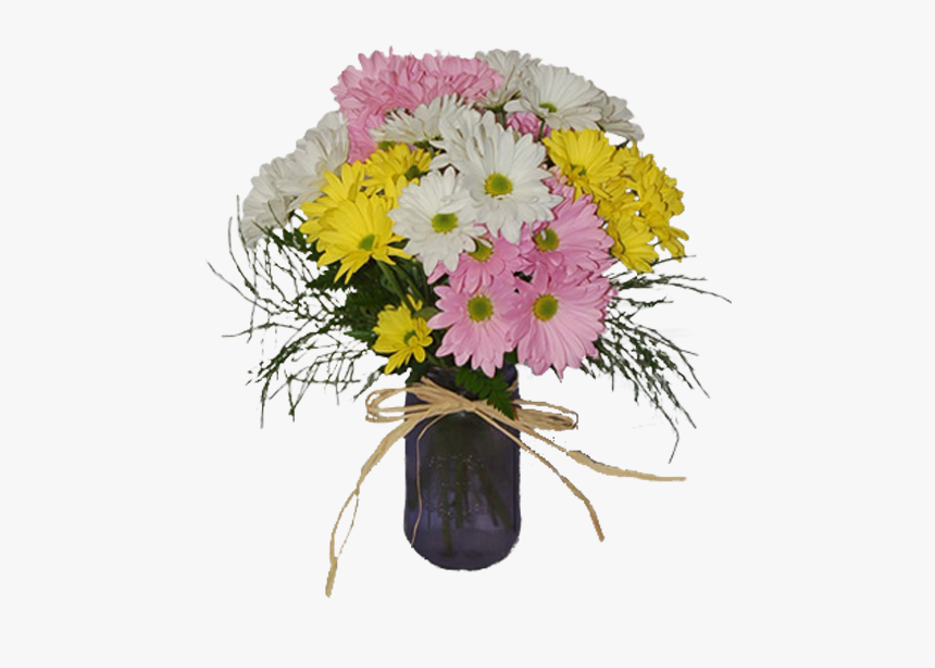 Barberton Daisy, HD Png Download