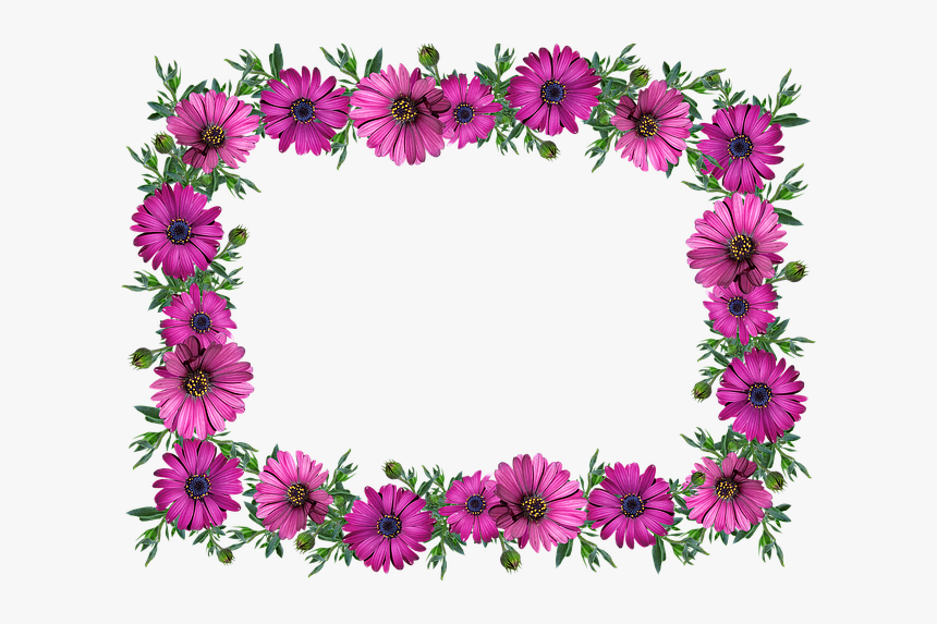 Frame, Border, Daisies, Decoration, Label - Kwiaty Gify Bez Tła, HD Png Download