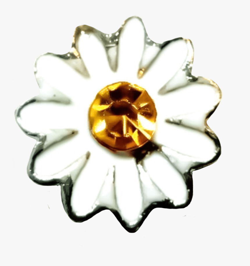 White Daisy Photo - Body Jewelry, HD Png Download
