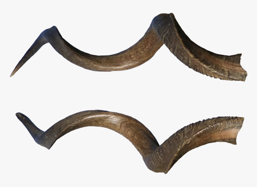 Sign Of The Horns Demon Devil - Demonic Horn, HD Png Download