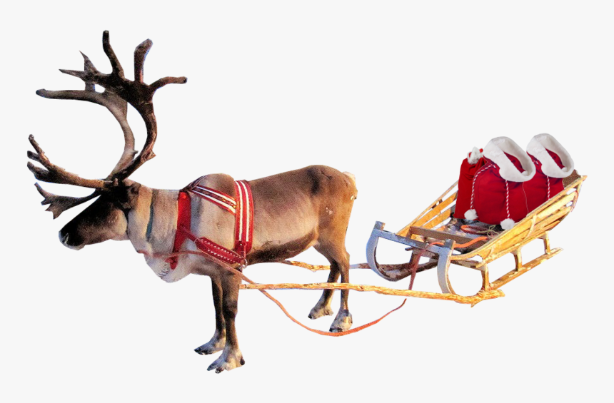 Santa Sleigh Png Clipart - Christmas Reindeer Transparent Background, Png Download