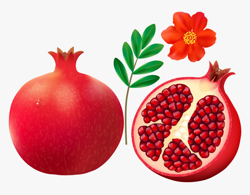 F Cdba Orig - Pomegranate Clipart, HD Png Download