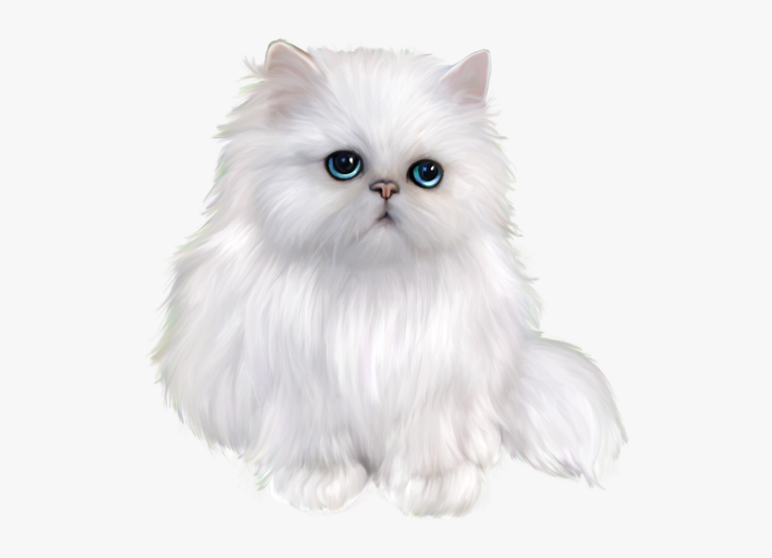 Persian Cat Himalayan Cat Ragdoll Domestic Long-haired - Animals Png Black Background, Transparent Png