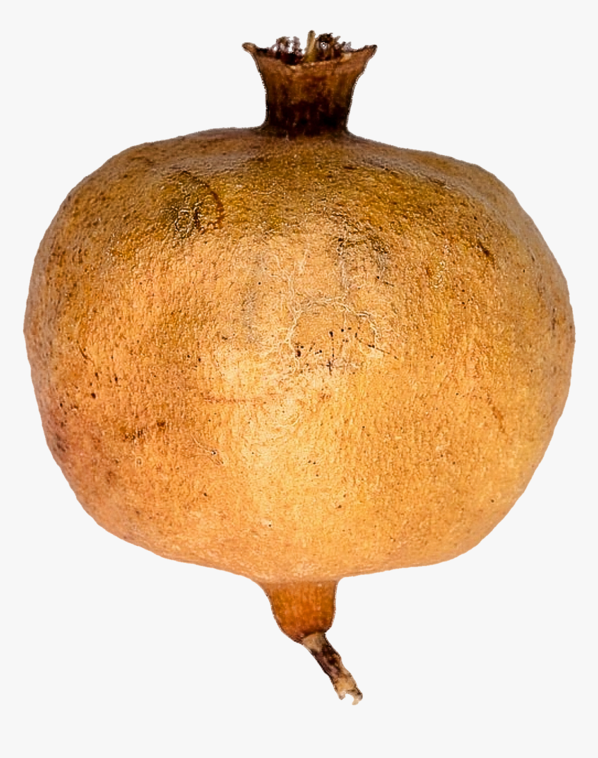 Calabaza, HD Png Download