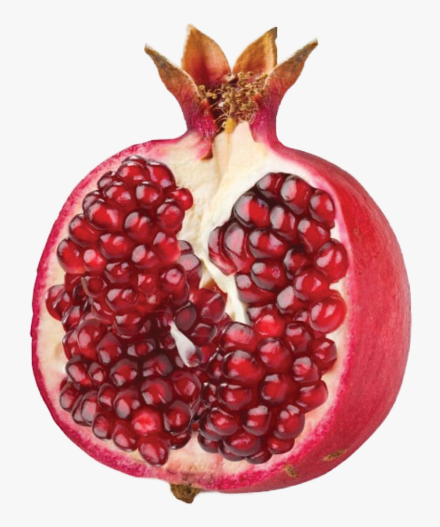 Transparent Pomegranate Seeds Png - Montessori Language Cards Toddlers, Png Download