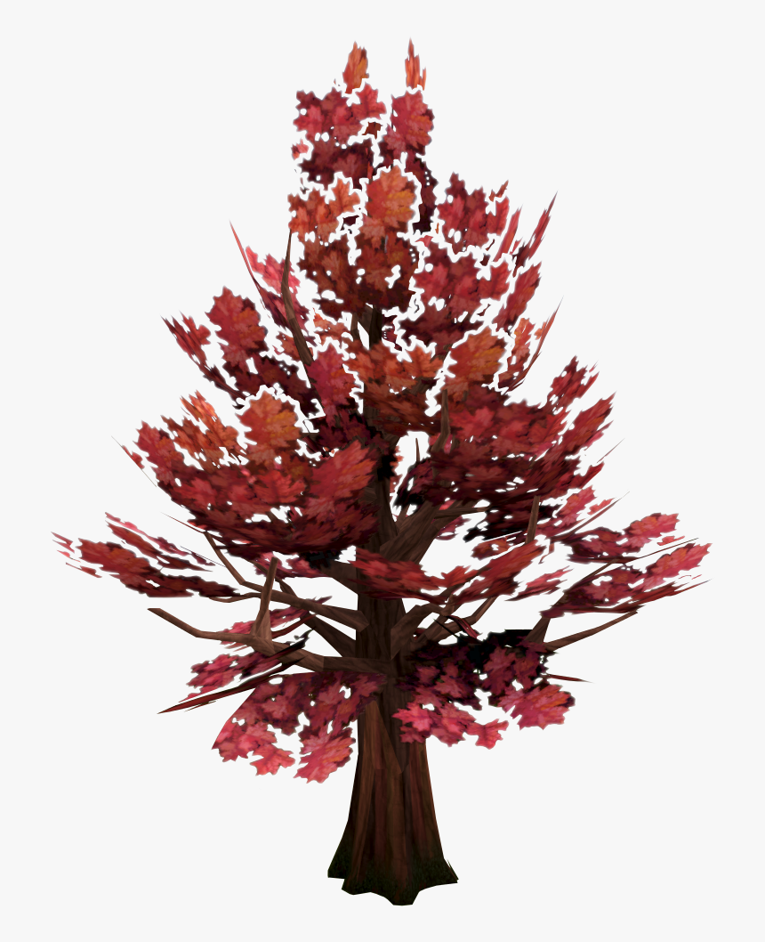 Transparent Evil Tree Png - Maple, Png Download