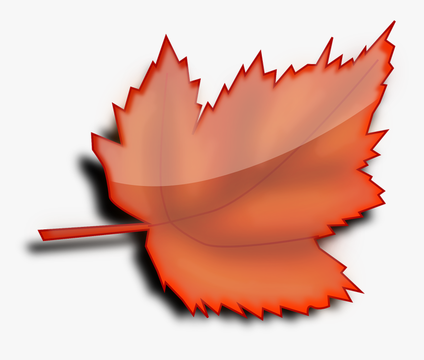 Maple Autumn Fall Leaf Orange Png Image - Leaf Clipart Transparent Background, Png Download