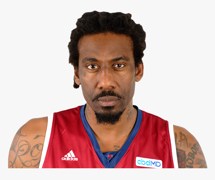 stoudemire amare