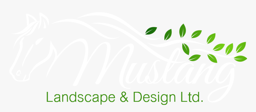 Mustang Logo Clean White - Calligraphy, HD Png Download