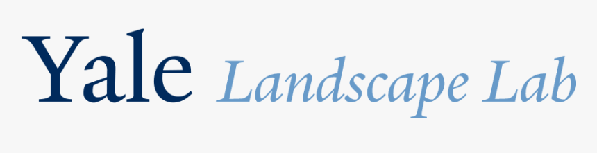 Landscape Png, Transparent Png