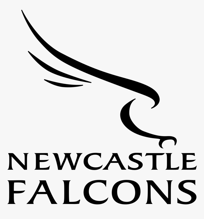 Newcastle Falcons Rugby Logo - Newcastle Falcons Logo, HD Png Download