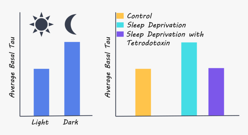 Science Amanda Pic - Graphic Design, HD Png Download