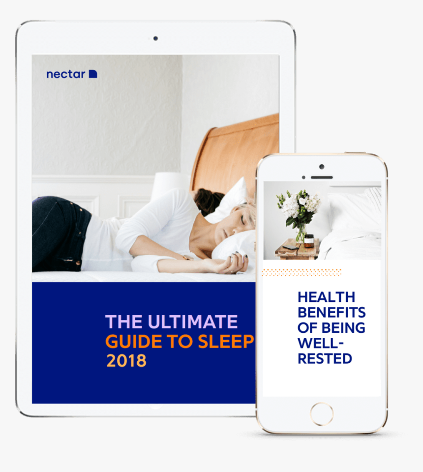 Ultimate Guide To Sleep - Futon Pad, HD Png Download