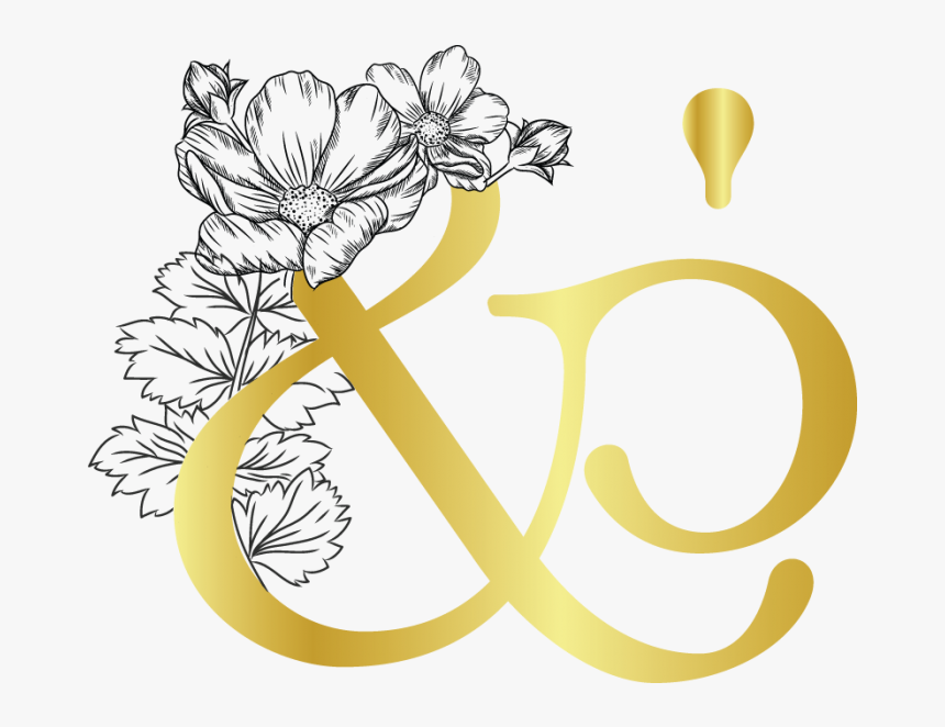 Lotus, HD Png Download