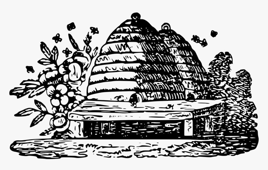 Bee Beehive Hive Free Picture - Drawing Bee Hive Free, HD Png Download