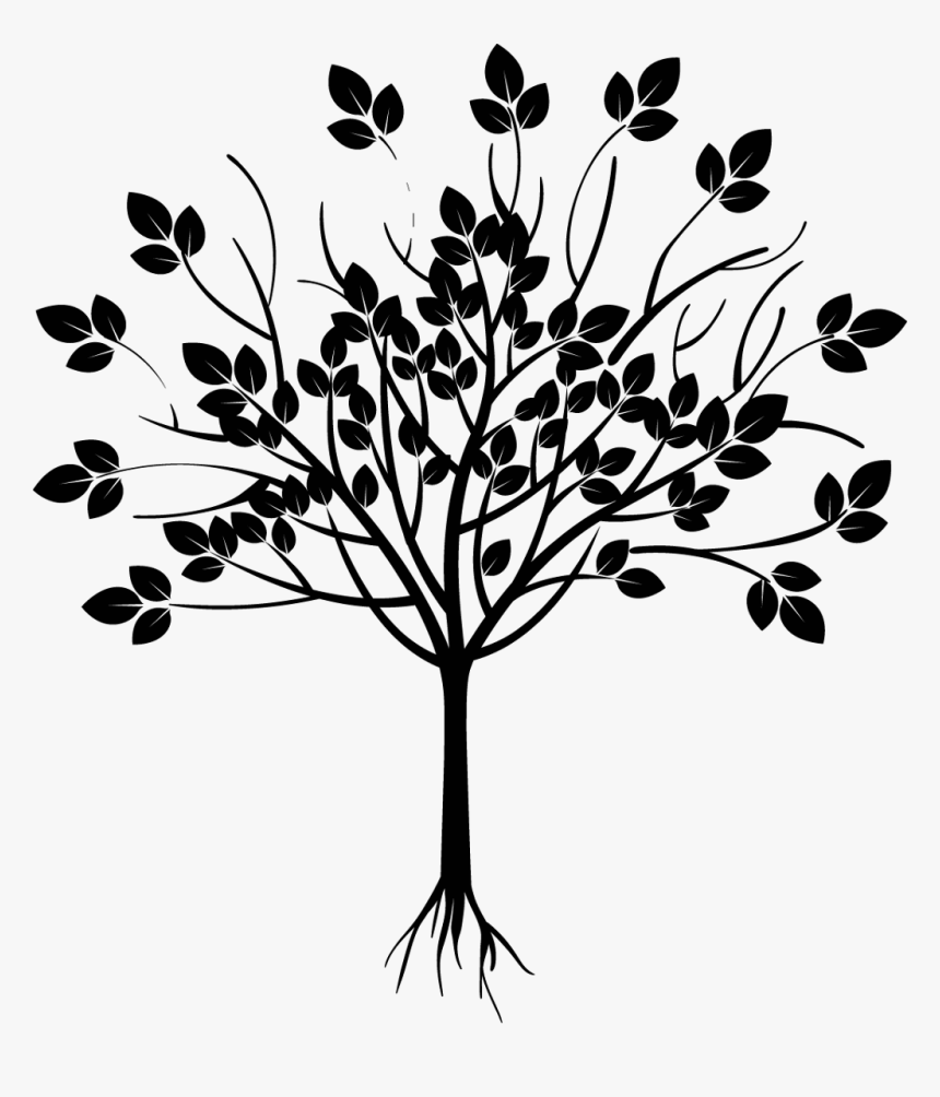 Transparent Tree Of Life Silhouette Png - Versiculo Del Dia 24 De Julio, Png Download