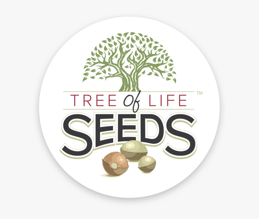 Tree Of Life Seeds, HD Png Download
