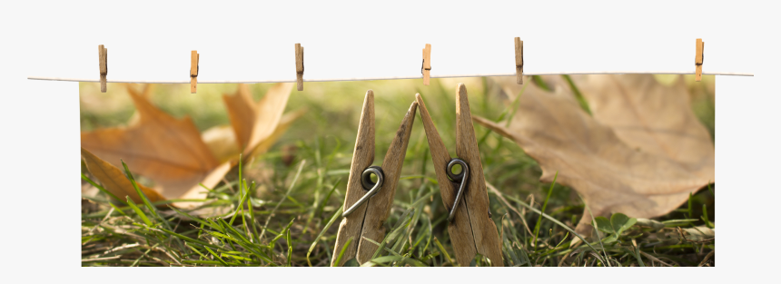 Transparent Clothespin Png - Grass, Png Download