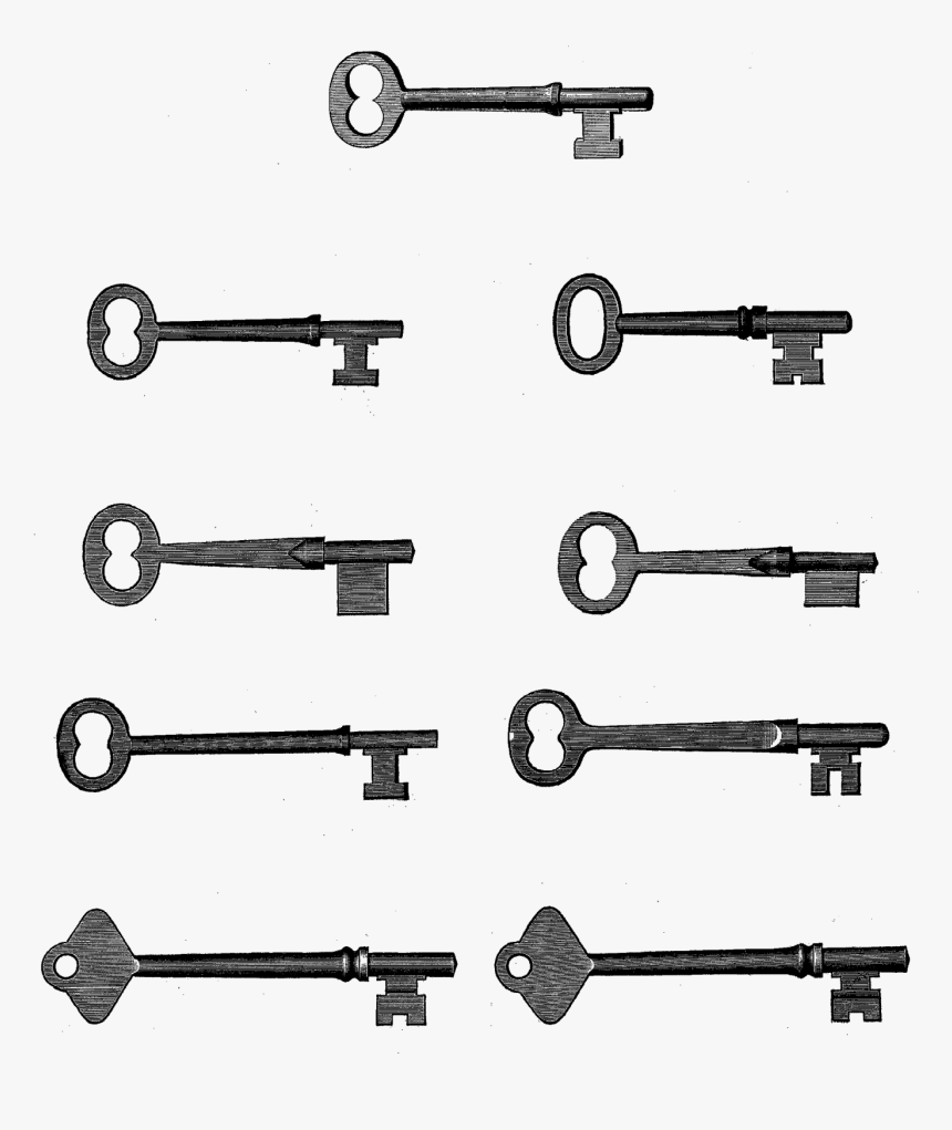 Tool, HD Png Download