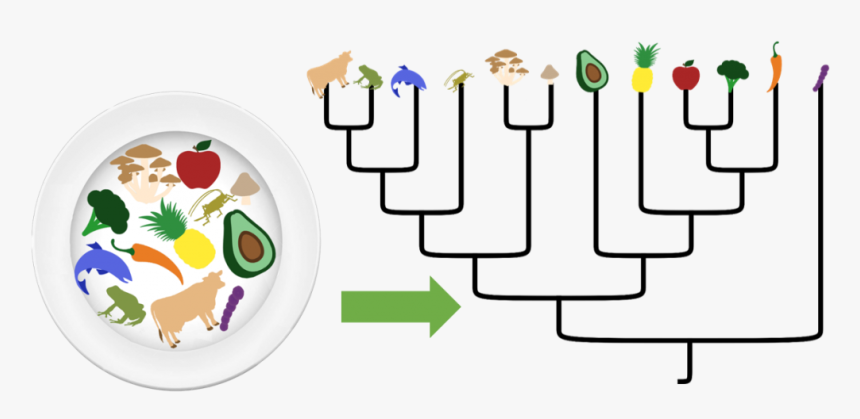 Clip Art, HD Png Download