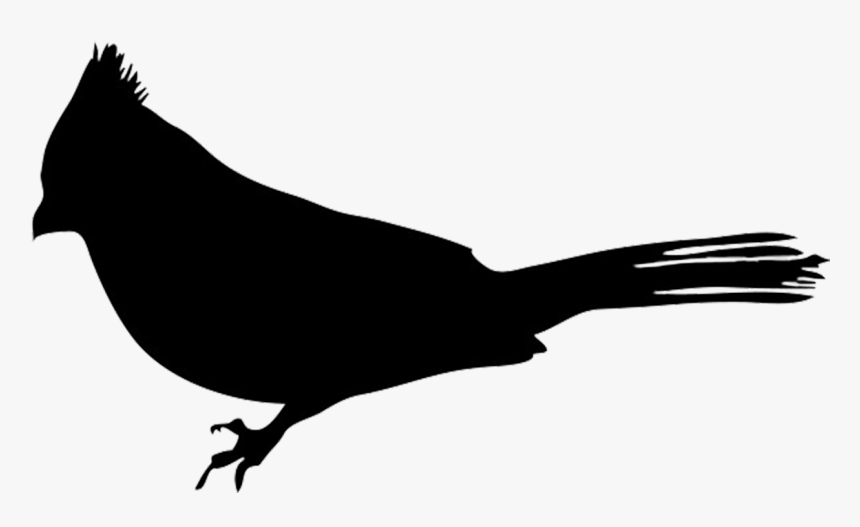 Bird European Robin Silhouette Clip Art - Robin Bird Silhouette Png, Transparent Png