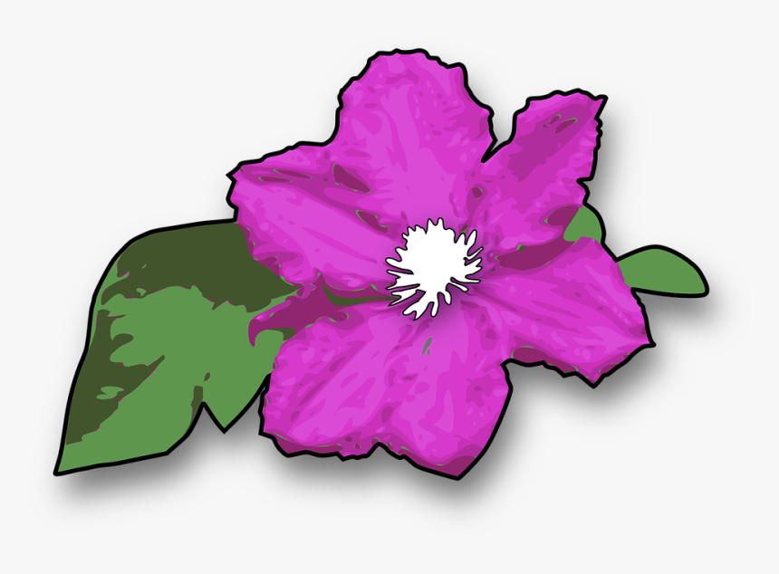 Flower, Purple, Violet, Green, Leaves, Plant, Floral - Jungle Flowers Clipart, HD Png Download