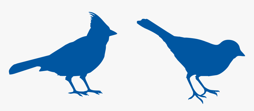 Louis Cardinals Silhouette Watercolor Painting Northern - Cardinal Bird Silhouette, HD Png Download