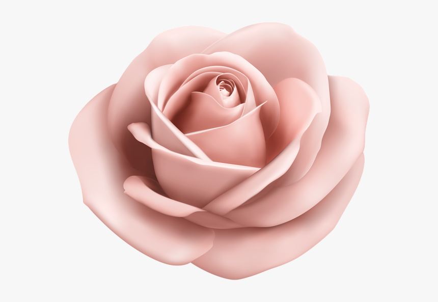 Rose Soft Peach Transparent Png Clip Art Image - Light Blue Flower Png, Png Download