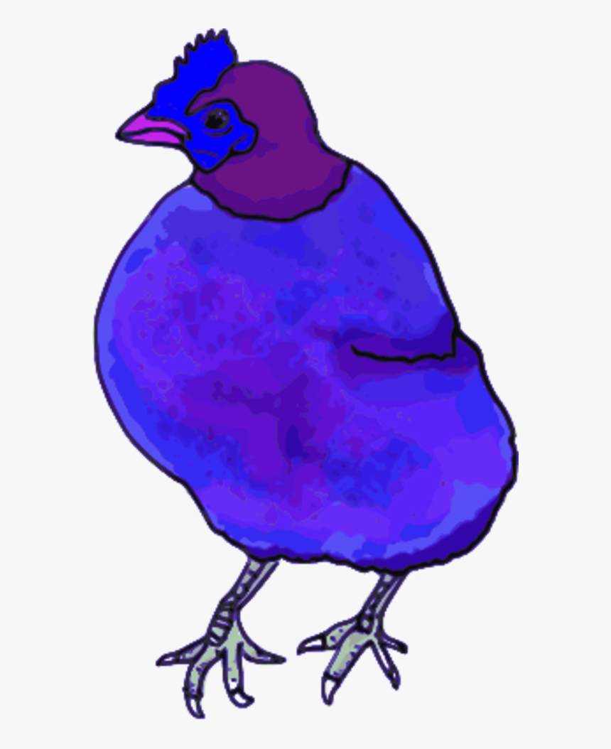 Vector Clip Art - Pink Chicken Png, Transparent Png