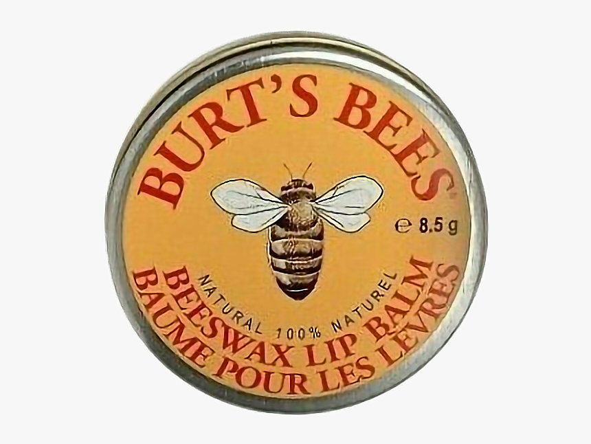 #png #freetoedit #moodboard #bees #aesthetic #stickers - Honeybee, Transparent Png