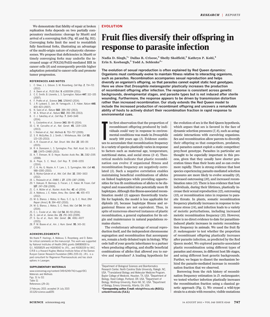 Folio Three From Burchard Of Sion's De Locis Ac Mirabilibus, HD Png Download