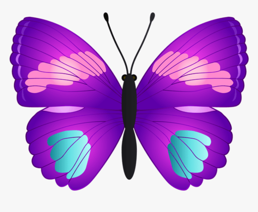 Butterfly Transparent Png - Butterfly Pink Teal And Purple, Png Download