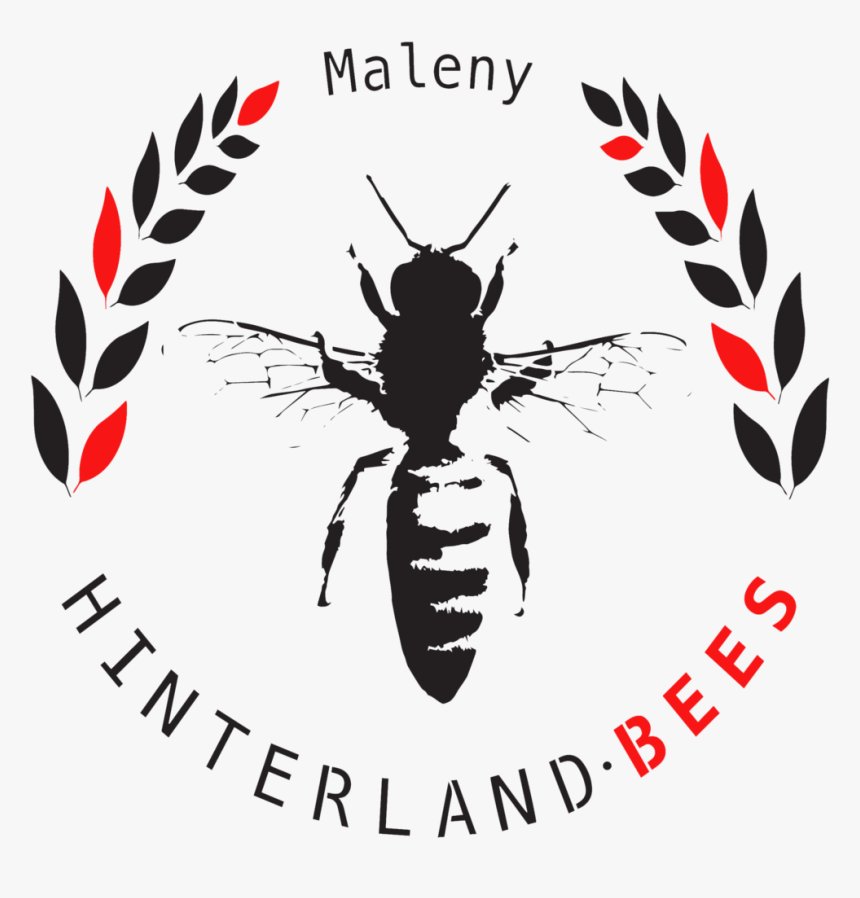 Bees Png, Transparent Png