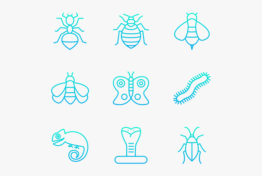 Insects, HD Png Download