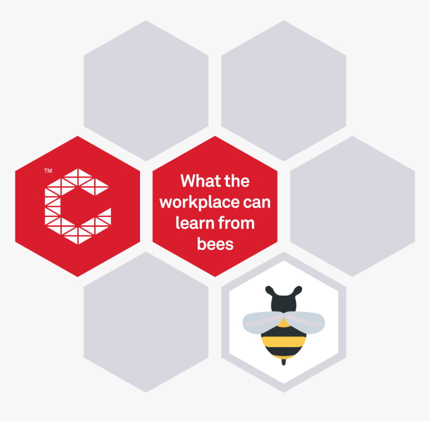 Graphic Design, HD Png Download