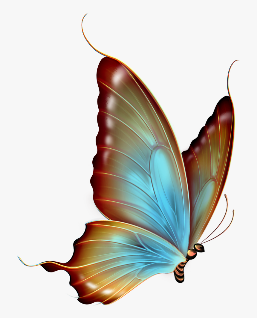 Transparent Background Butterfly Clipart, HD Png Download