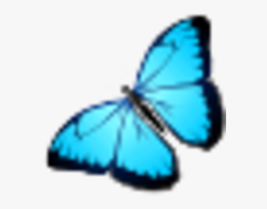 Butterfly Icon, HD Png Download