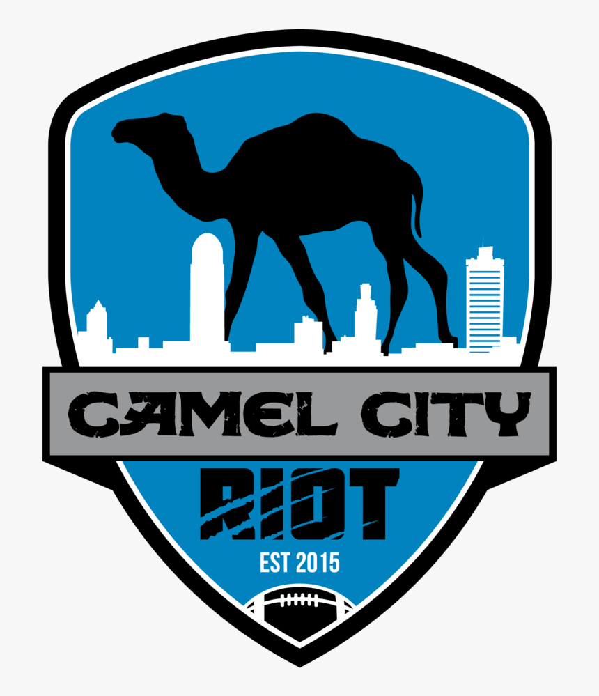 Arabian Camel, HD Png Download