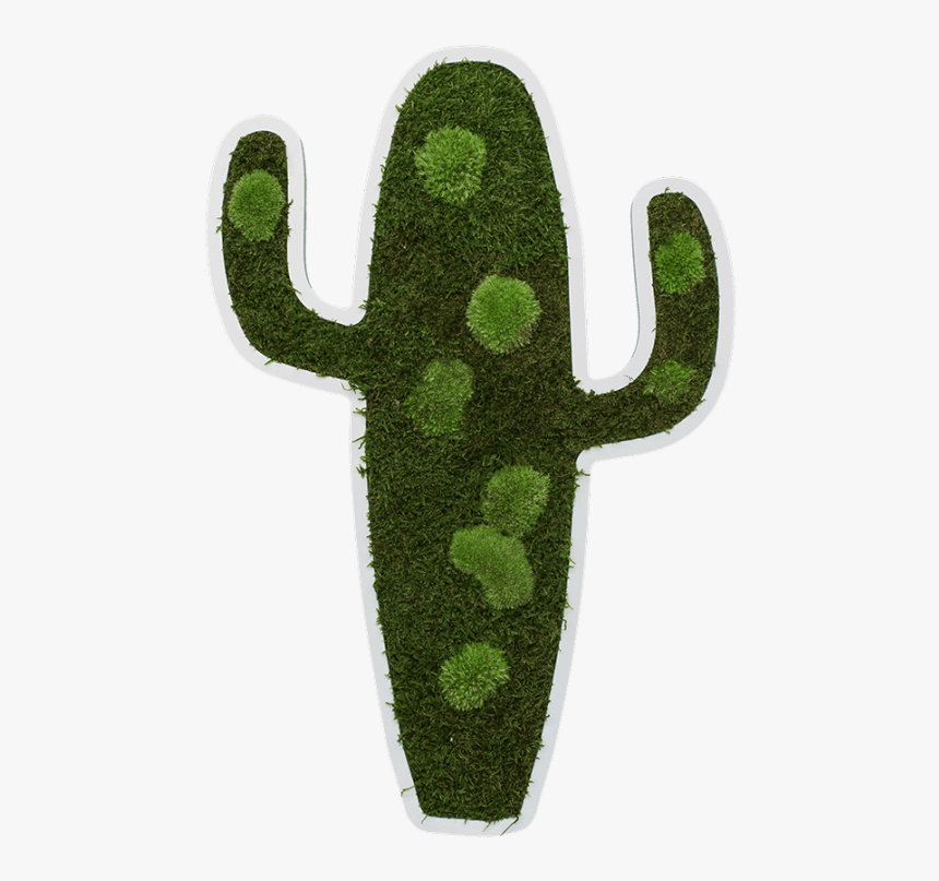 Cactus Pictogram 60 Cm - Chlorophyta, HD Png Download