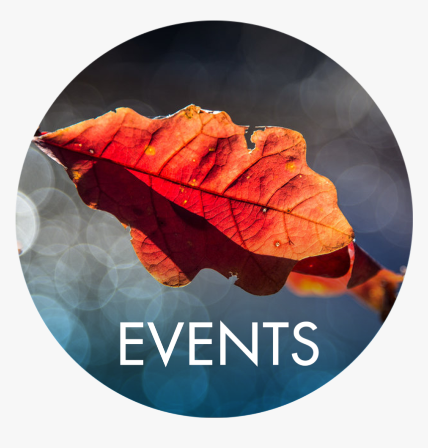 Events - Autumn, HD Png Download